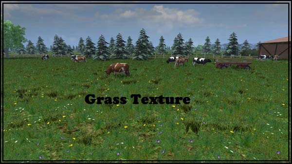 Мод Grass-texture для Farming / Landwirtschafts Simulator 2013